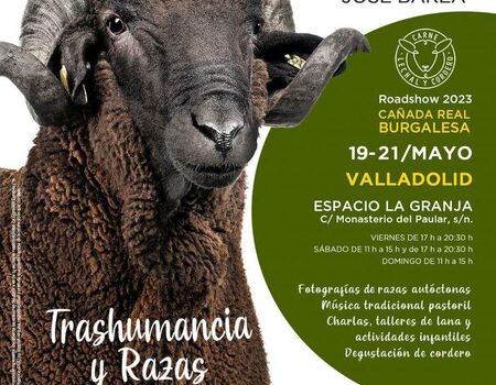 Imagen del evento