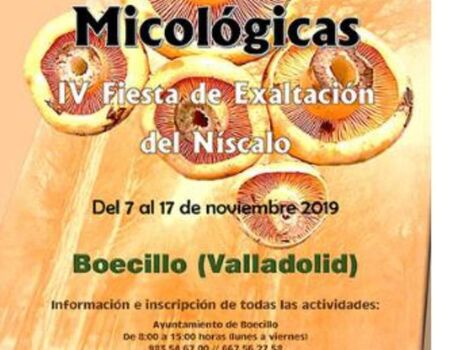 Imagen del evento