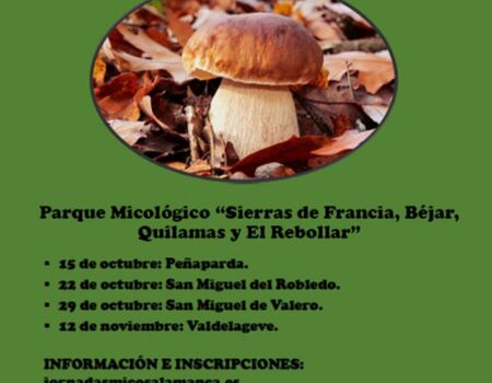 Imagen del evento