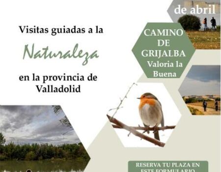 Imagen del evento