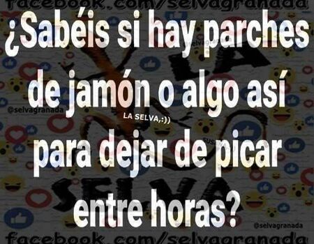 Imagen del evento