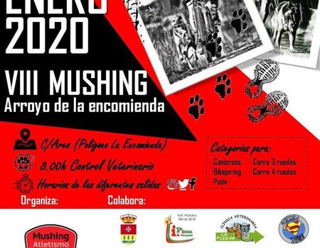 Imagen del evento