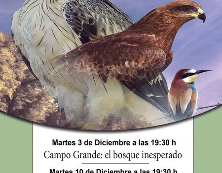 Imagen del evento