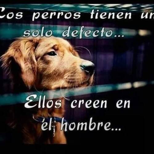 Foto extra 4