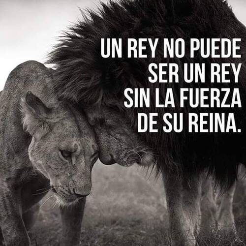 Foto extra 6