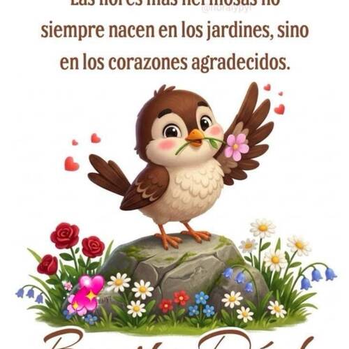 Foto extra 4