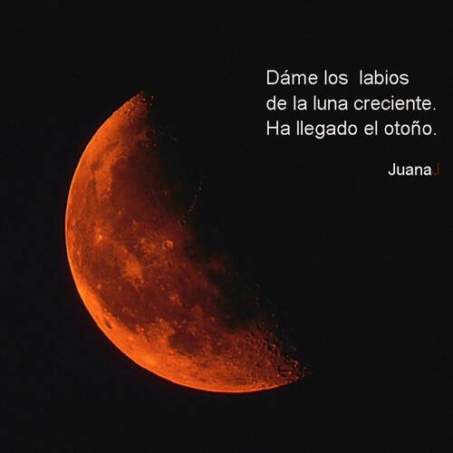 Foto extra 6
