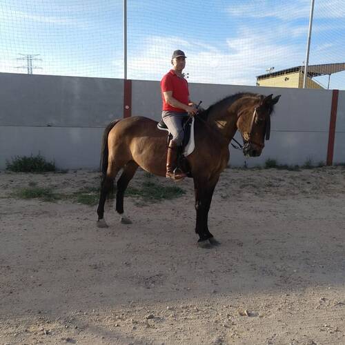 Foto extra 2