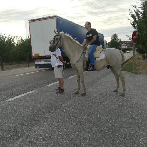Foto extra 3