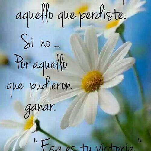 Foto extra 36