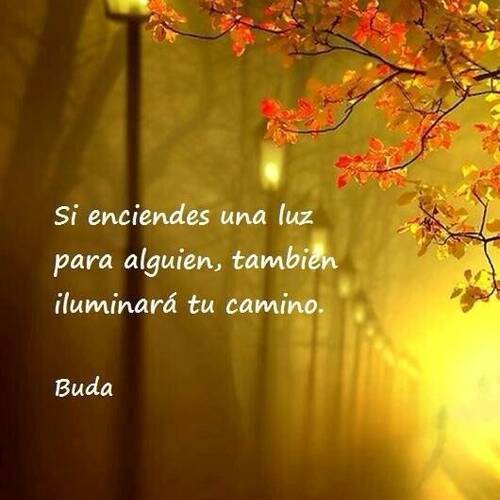 Foto extra 1