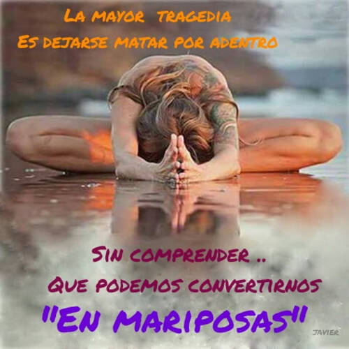 Foto extra 12
