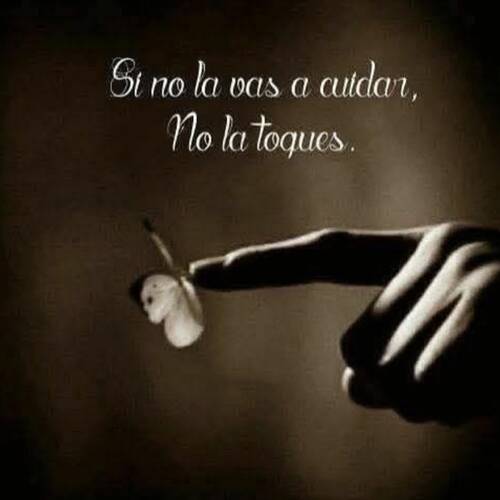 Foto extra 1