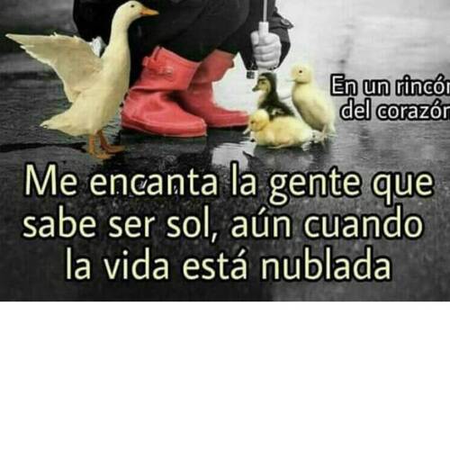 Foto extra 3