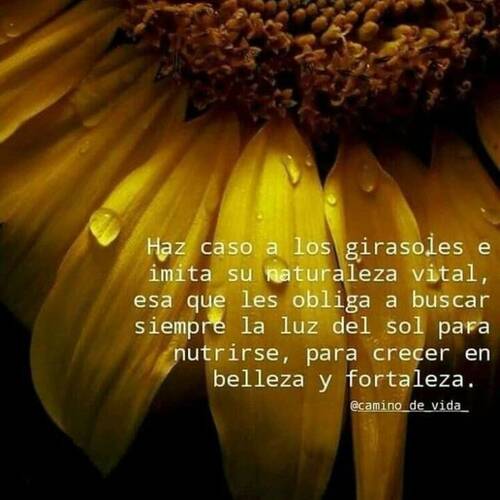 Foto extra 4