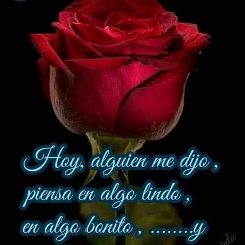 Foto extra 4