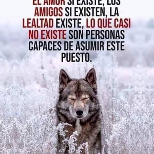 Foto extra 7