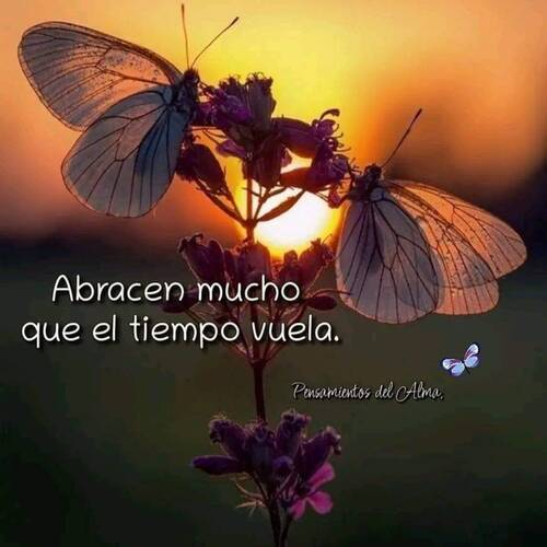 Foto extra 1