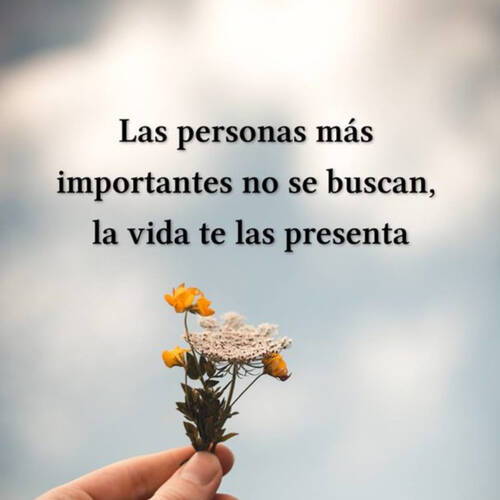 Foto extra 1