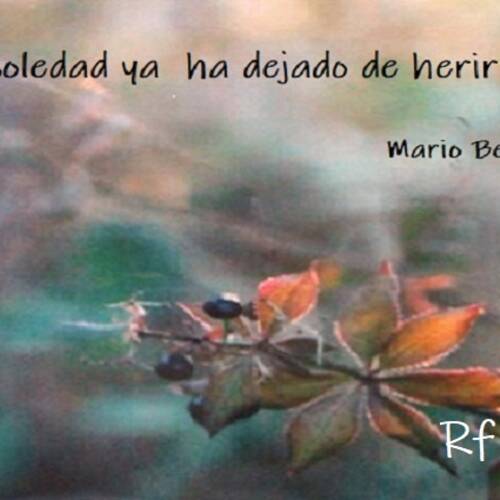 Foto extra 1