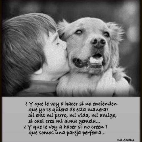Foto extra 11