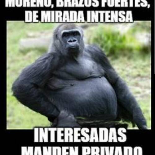 Foto extra 1