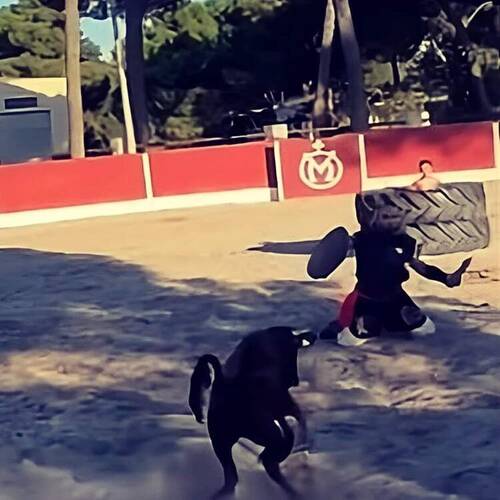 Foto extra 12