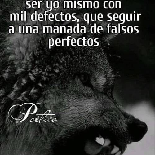 Foto extra 1