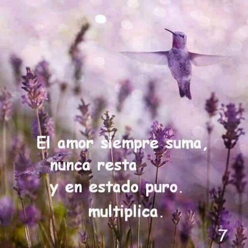 Foto extra 3