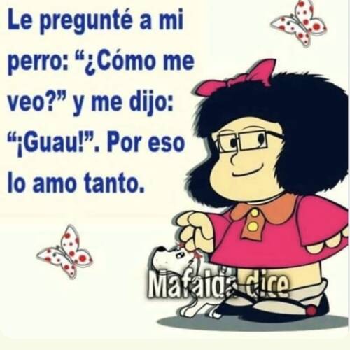 Foto extra 8