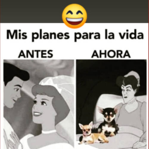 Foto extra 4