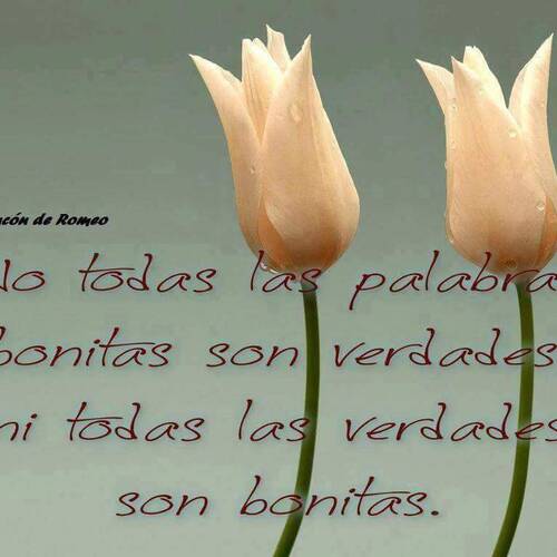 Foto extra 2