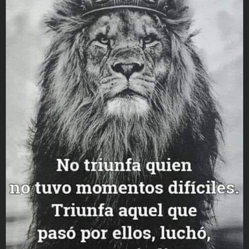 Foto extra 3