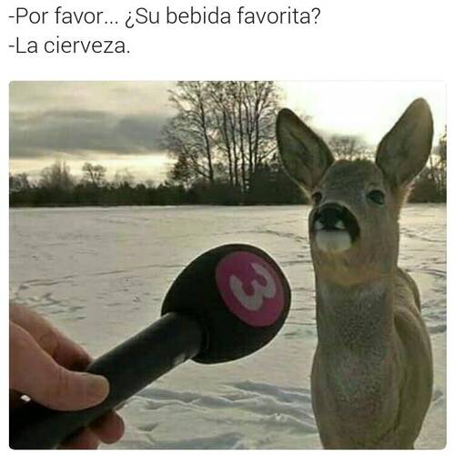 Foto extra 1