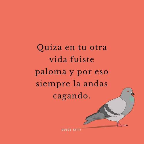Foto extra 2