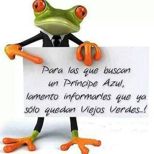 Foto extra 1