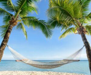 Alba Maria san