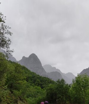 Ana