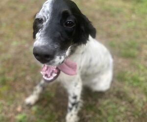 Julio
