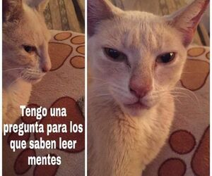 Patricia