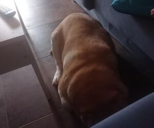 Alberto