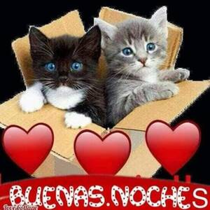 Rubia