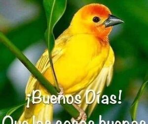Patricia_G