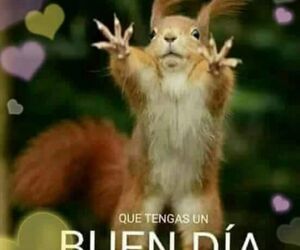 Luisito