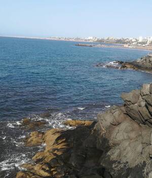 Merche