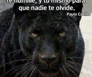 Maria_7