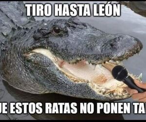 Jose