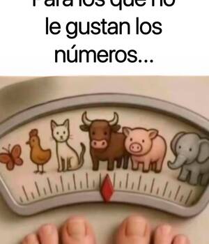 Jose Luis