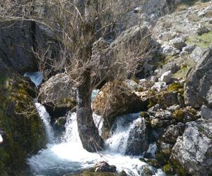 Javipc1512