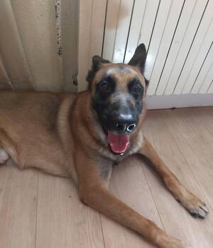 carlos